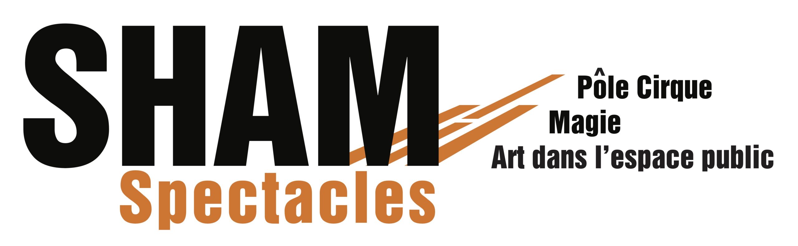 Logo Sham Espace public blanc
